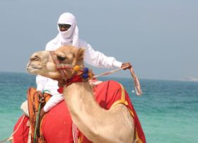 Beduine in Dubai am Strand.jpg